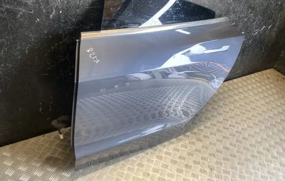 Tesla Model 3 Rear door
