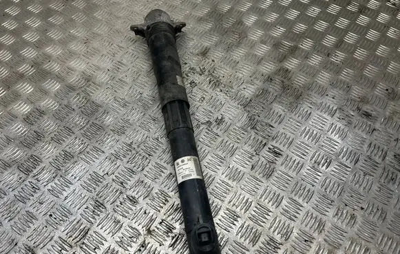 Rear shock absorber/damper