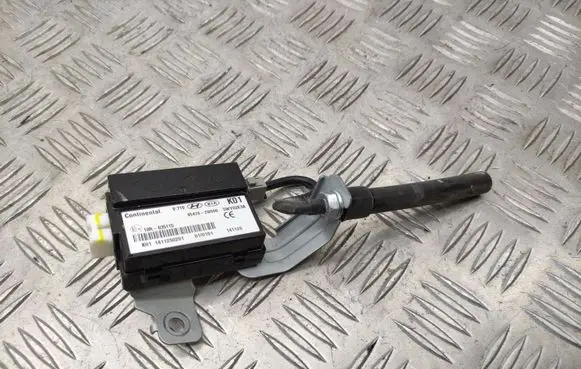 Hyundai Santa Fe Antenna control unit 954702W500