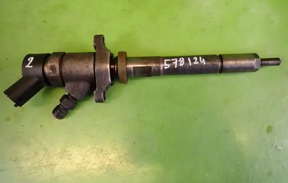 Citroen C5 Fuel injector 0445110188892080