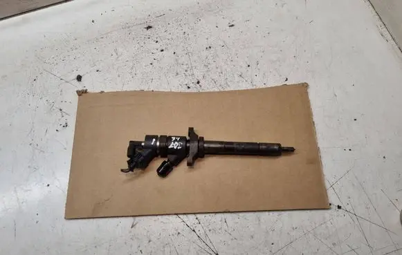 Peugeot 307 Fuel injector 0445110259