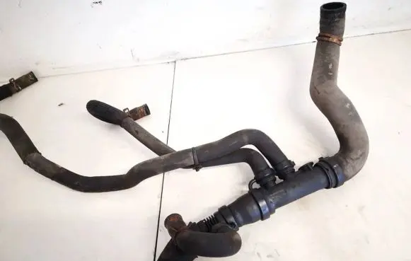 Renault Laguna III Engine coolant pipe/hose 1800446415