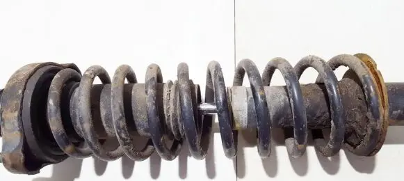 Rear coil spring