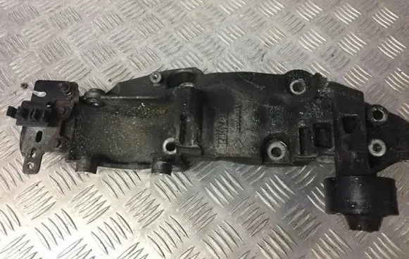 Nissan Qashqai Engine mounting bracket 8200527320