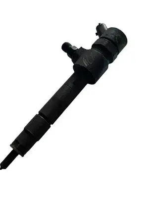 Opel Vectra C Fuel injector