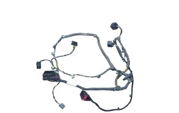 Front door wiring loom