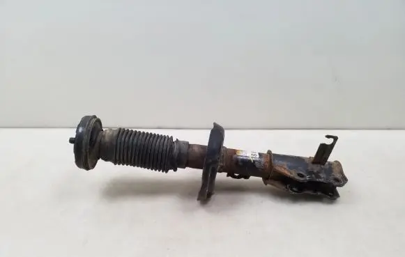 Opel Insignia A Front shock absorber/damper 13245977