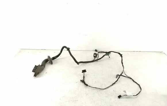 BMW X1 E84 Front door wiring loom 9233558 ENB08Y