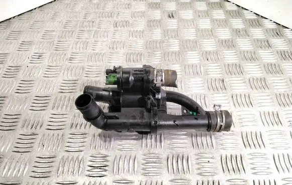 Thermostat/thermostat housing