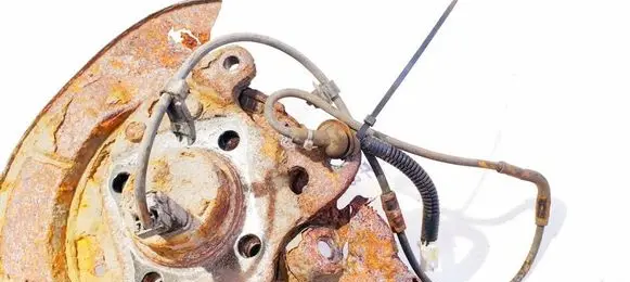 Other wiring loom