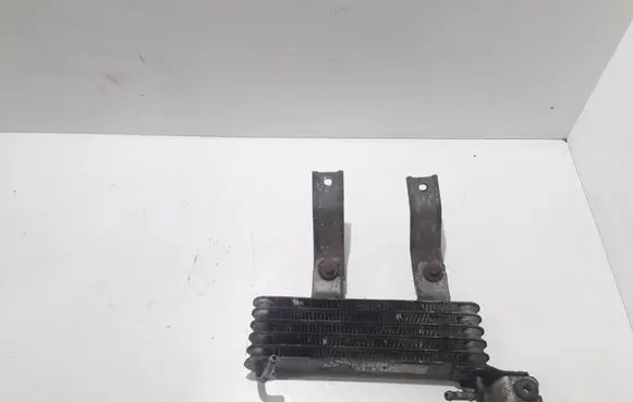 Hyundai Santa Fe Engine oil radiator 2546026510