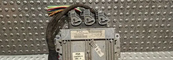 Peugeot 206 Engine control unit/module S25053620 9644625680 9644236080