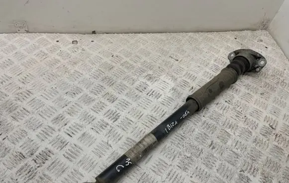 Seat Ibiza III (6L) Rear shock absorber/damper 6R0513025E