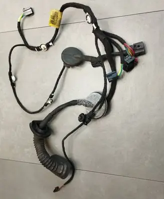 Front door wiring loom