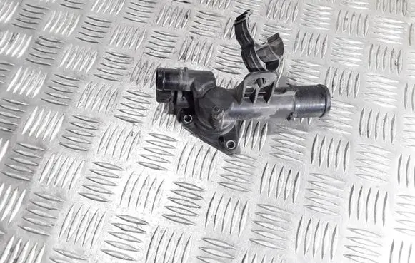 Thermostat/thermostat housing