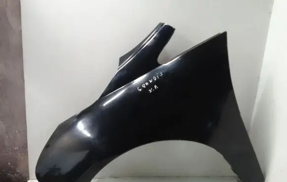 Mitsubishi Grandis Fender