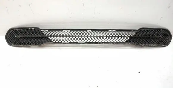 BMW X1 E84 Front bumper lower grill 2990475 51112990475