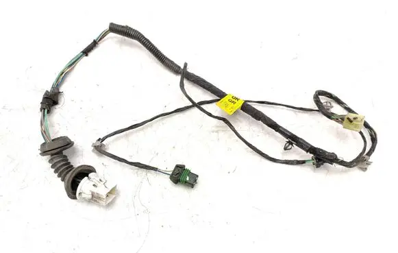 Rear door wiring loom