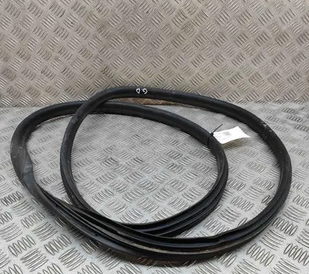 Renault Zoe Rubber seal rear door 769232904R