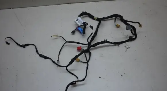 Front door wiring loom