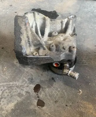 Fiat Ducato Power steering pump 200000019