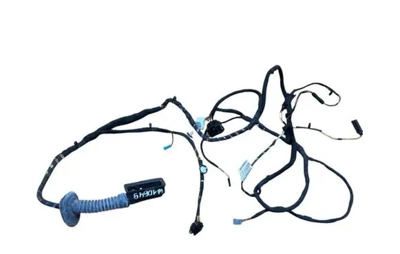 Front door wiring loom