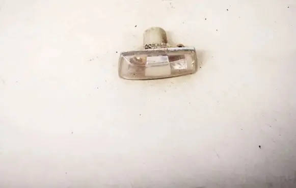 Front fender indicator light
