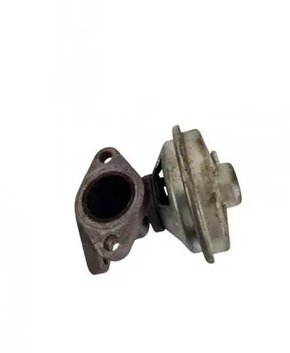 Opel Antara EGR valve