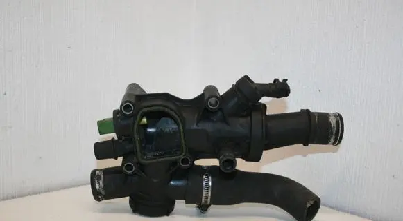 Thermostat/thermostat housing