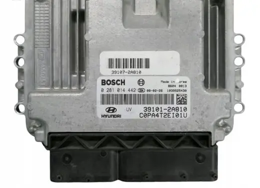 Hyundai i10 Engine control unit/module 0281014442 391012A810
