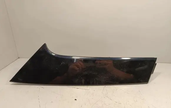 Rear/tail light trim molding