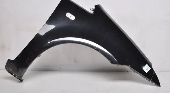 Ford Focus C-MAX Front mudguard 