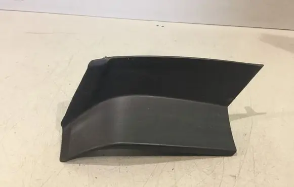 Rear/tail light trim molding