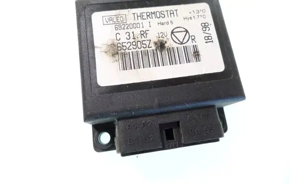 Peugeot 406 Other control units/modules 652905Z 69220001I
