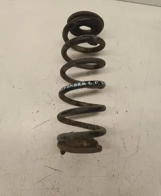Rear coil spring