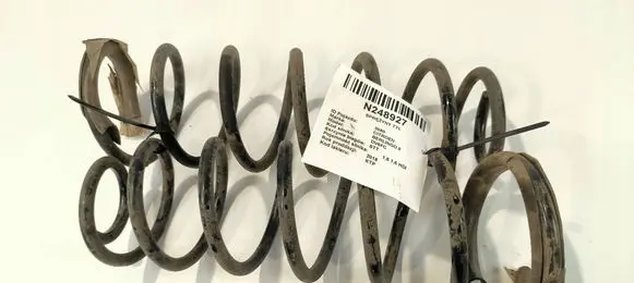 Rear coil spring