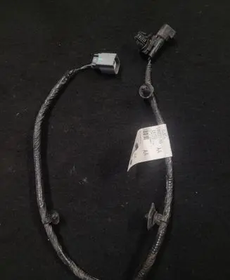 Other wiring loom