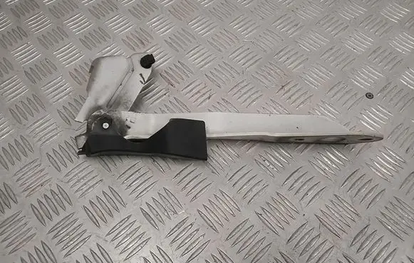 Renault Master III Engine bonnet/hood hinges 654000006R