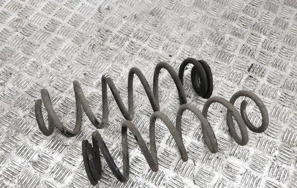 Rear coil spring