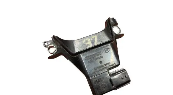 Renault Zoe Other control units/modules 295142799R 0703100