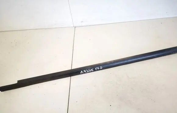 Citroen Xsara Front door glass trim molding 