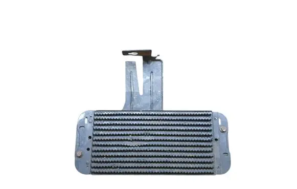 Renault Master III Fuel cooler (radiator) 244561500R 17510VN05A
