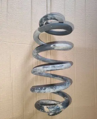 Rear coil spring