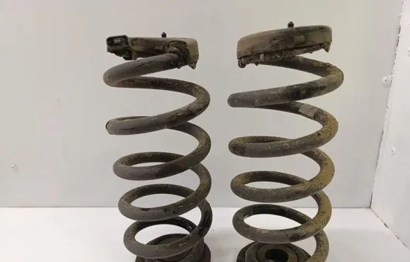 Rear coil spring