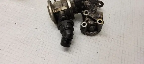 Seat Leon (1M) EGR thermostat 