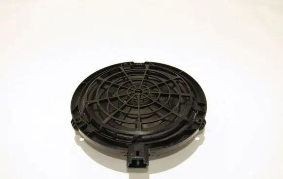 Rear door speaker