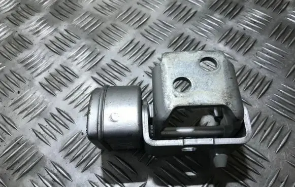 Peugeot 207 Rear door lower hinge 34919480