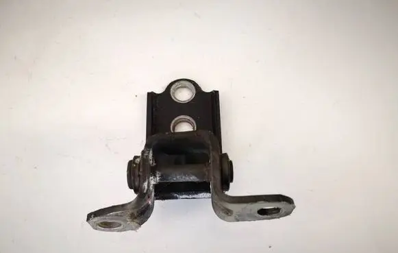 Rear door lower hinge