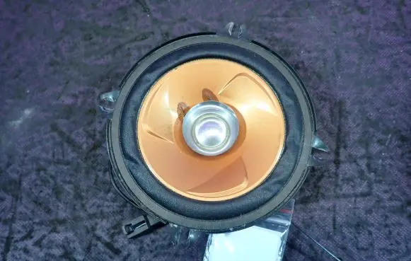 Dacia Logan I Front door speaker TSG1318