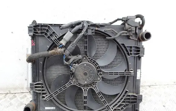 Nissan Juke I F15 Coolant radiator 21410BA62A